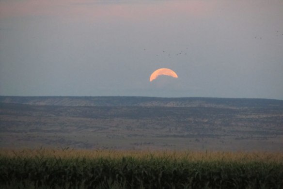 Cloud,-birds-and-Moon