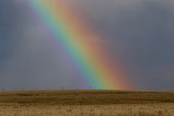 lindas-prairie-rainbow