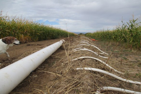 picking-up-the-tubes