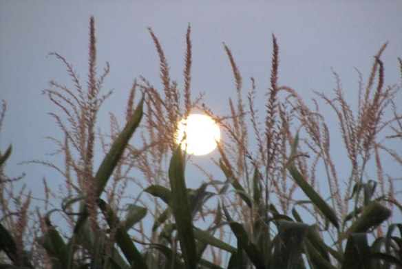 setpembers-full-moon-4