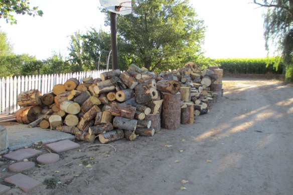 wood-pile-3