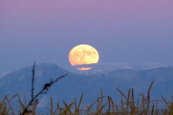 novembers-super-moon-011