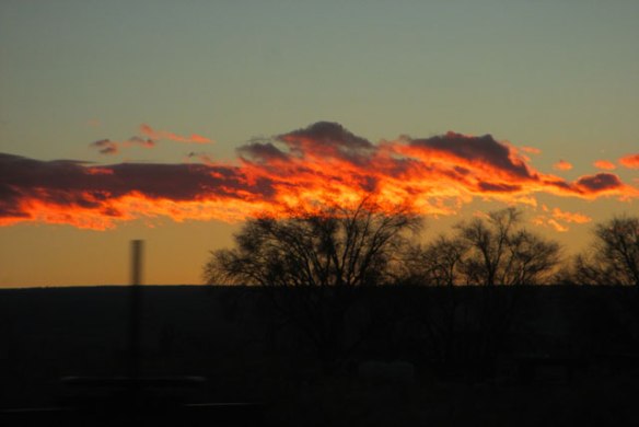 a-surprise-color-in-winter