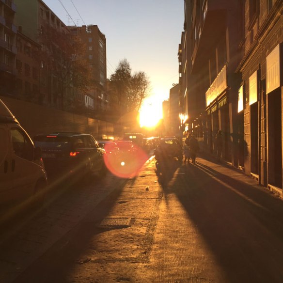 milan-and-that-special-ligh