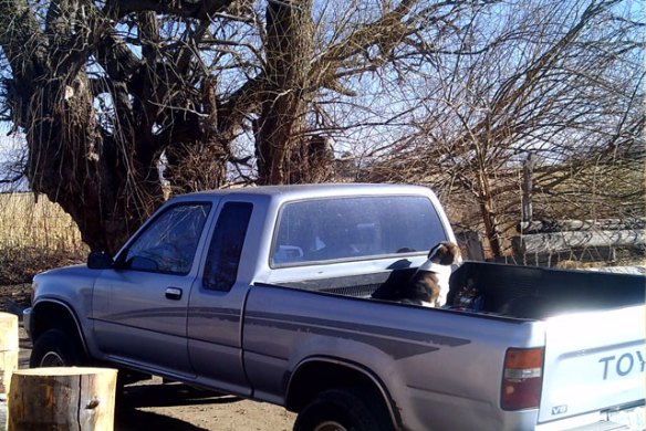 going-down-to-see-rocky