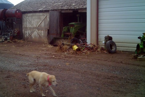 houston-comes-to-visit