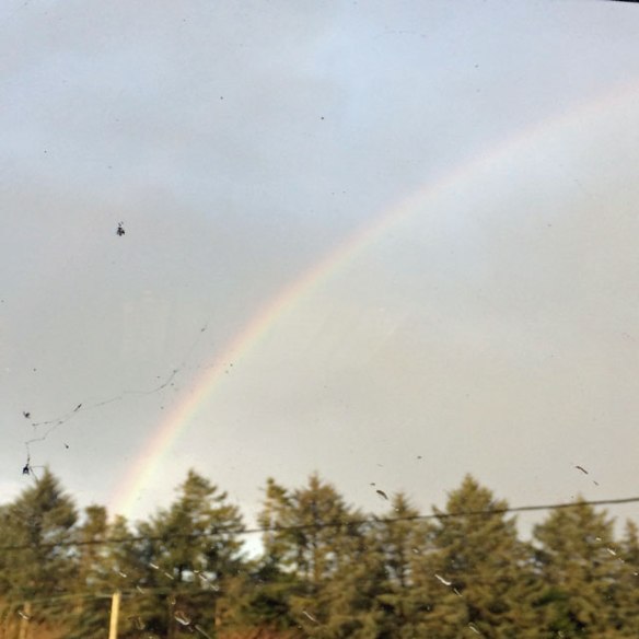 the-otherside-of-an-irish-r