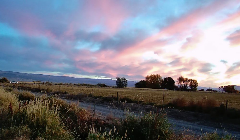 Life on a Colorado Farm