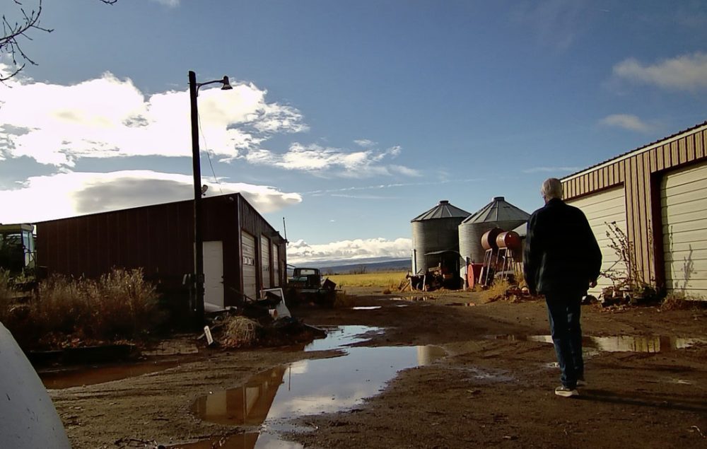 THE COWS ARE HERE!!! —- Wednesday, December 4, 2024 | Life on a ...