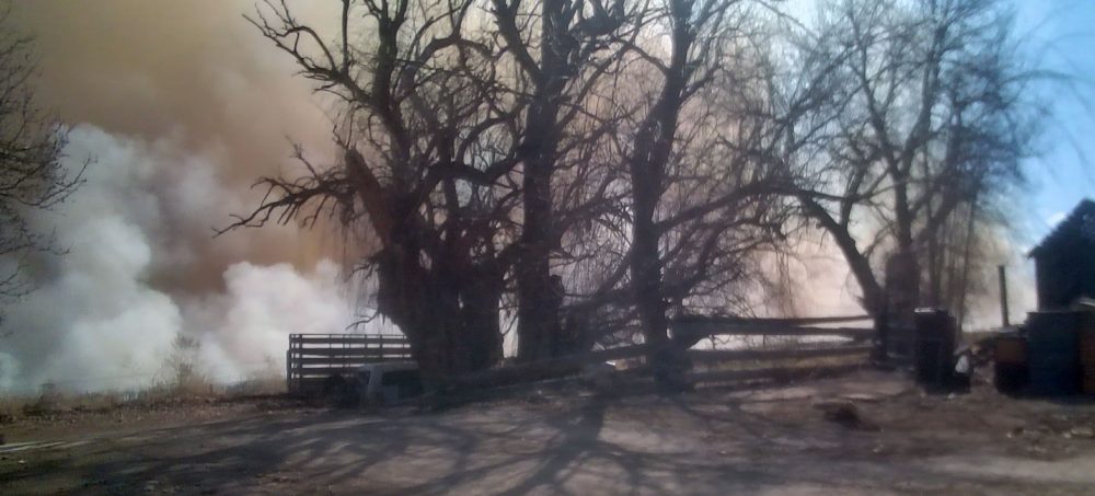 Life on a Colorado Farm