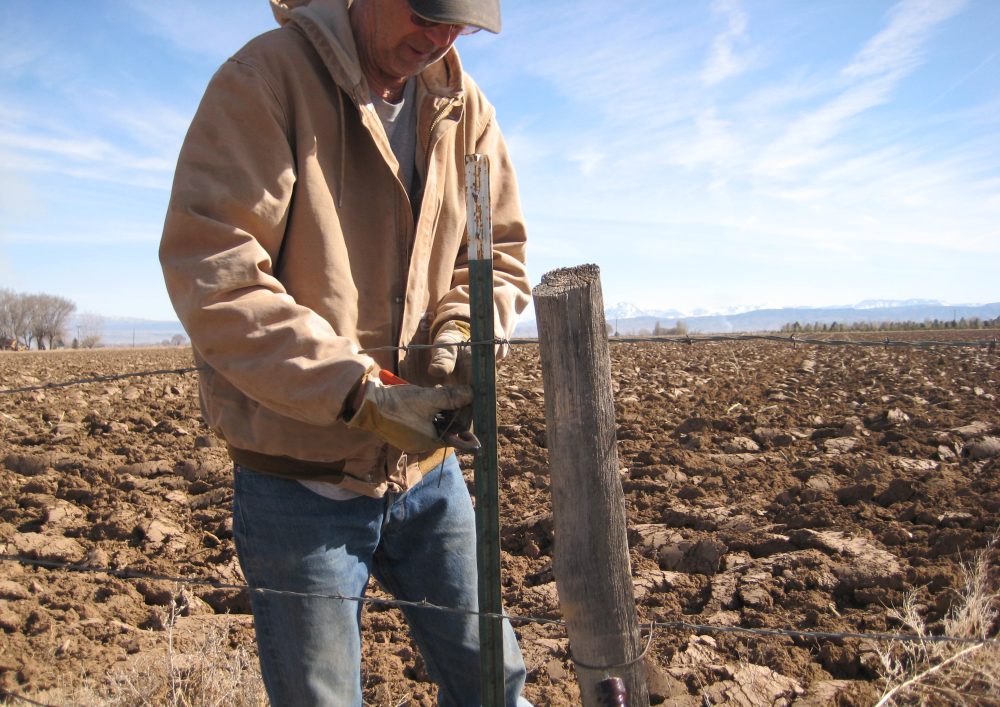 Life on a Colorado Farm
