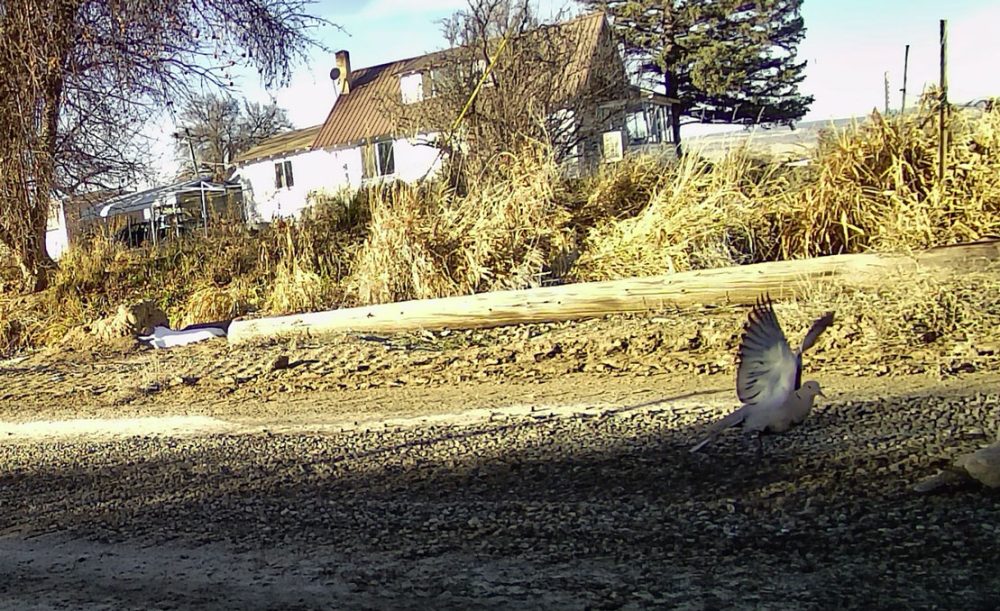 Life on a Colorado Farm