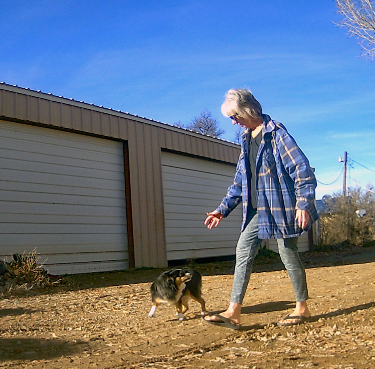 Life on a Colorado Farm