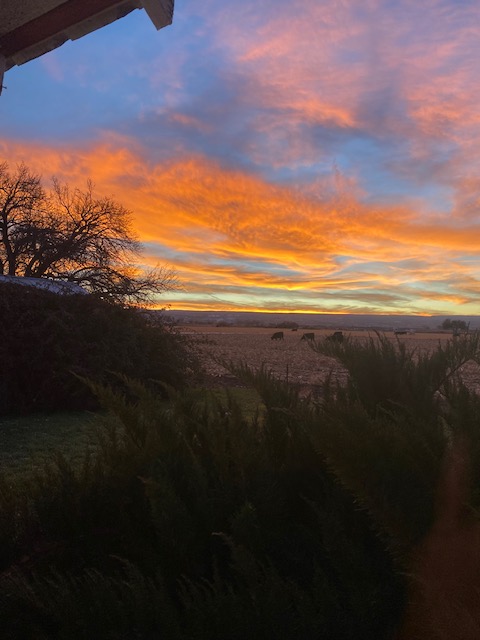 Life on a Colorado Farm