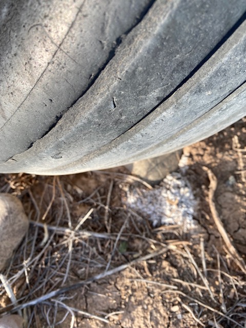 Life on a Colorado Farm