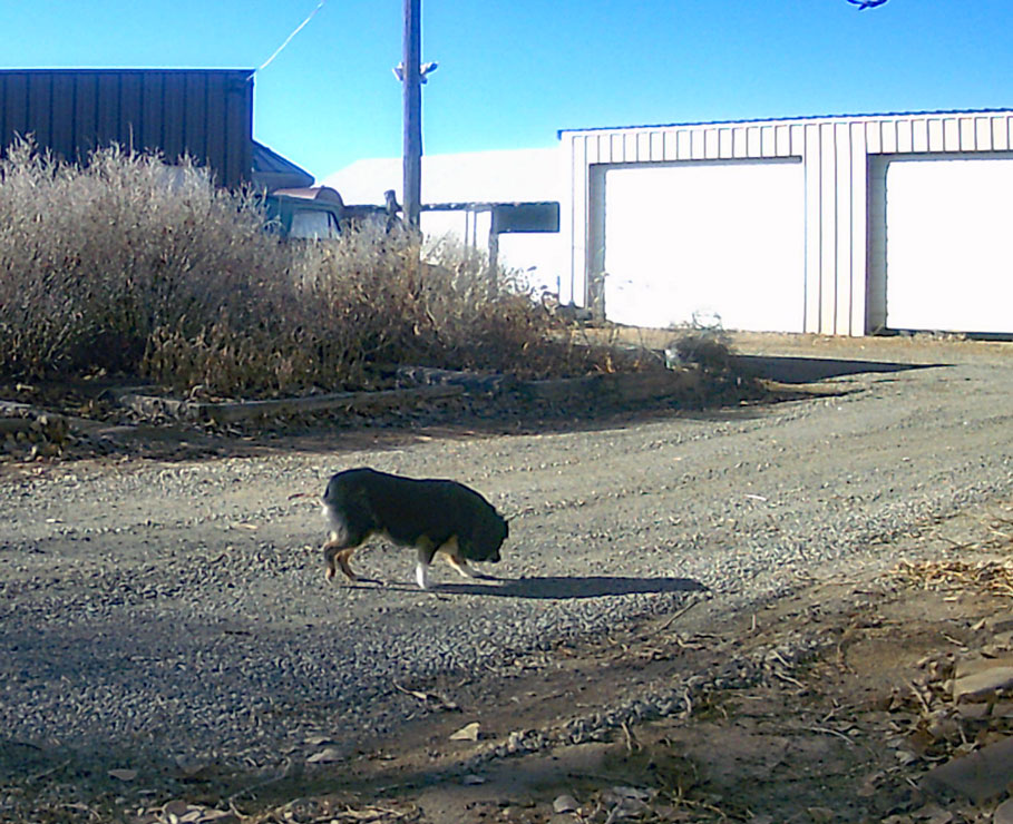 Life on a Colorado Farm