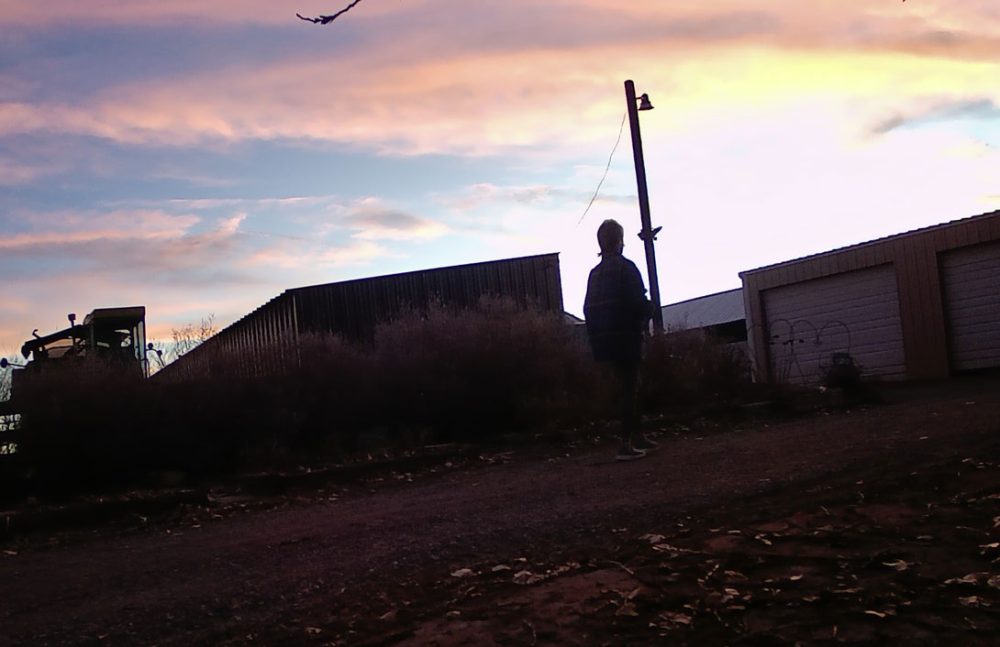 Life on a Colorado Farm