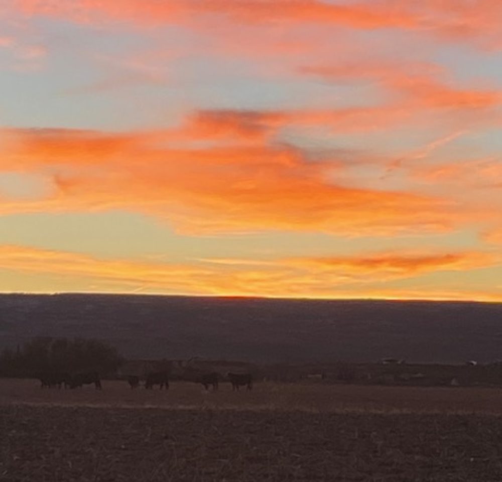 Life on a Colorado Farm