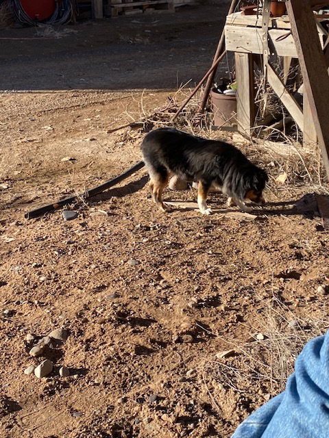 Life on a Colorado Farm