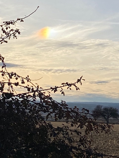Life on a Colorado Farm