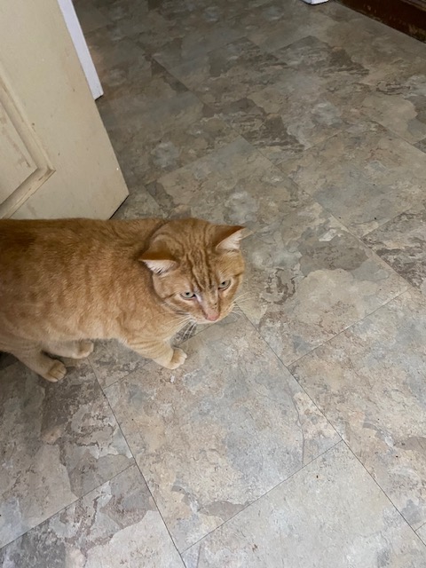 Life on a Colorado Farm