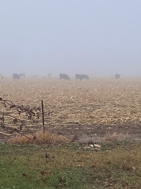 Life on a Colorado Farm