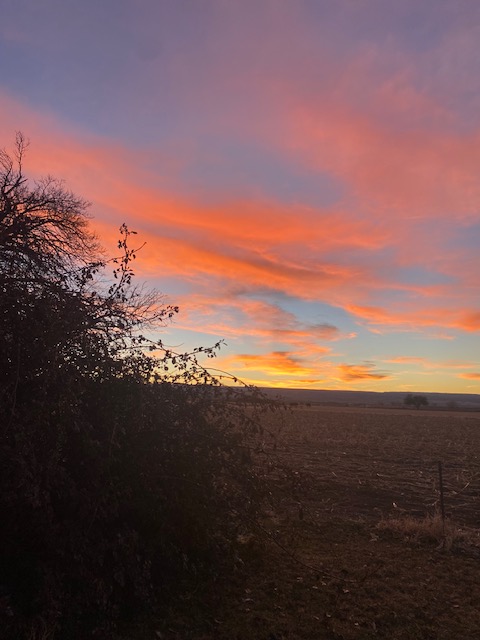 Life on a Colorado Farm