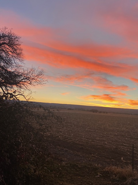 Life on a Colorado Farm