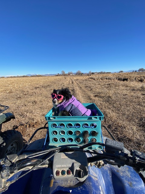 Life on a Colorado Farm