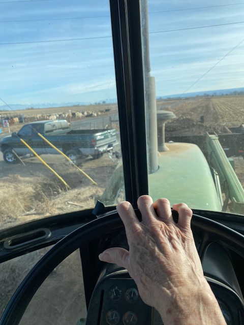 Life on a Colorado Farm