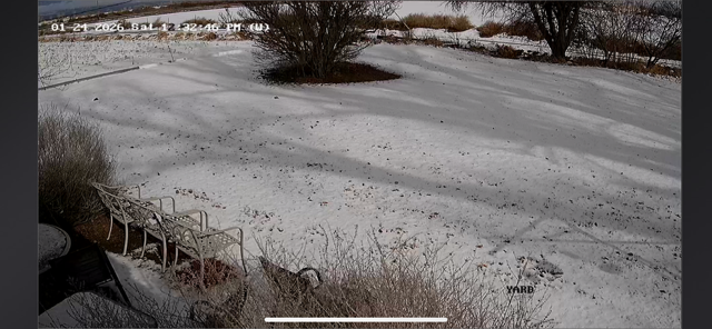 Life on a Colorado Farm