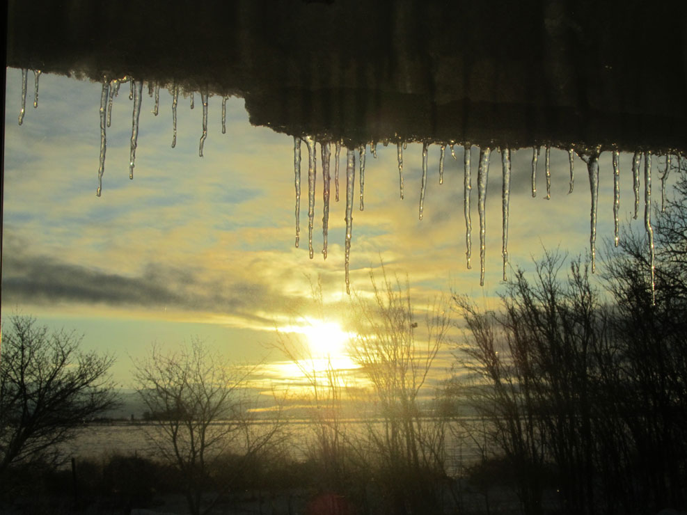 Life on a Colorado Farm