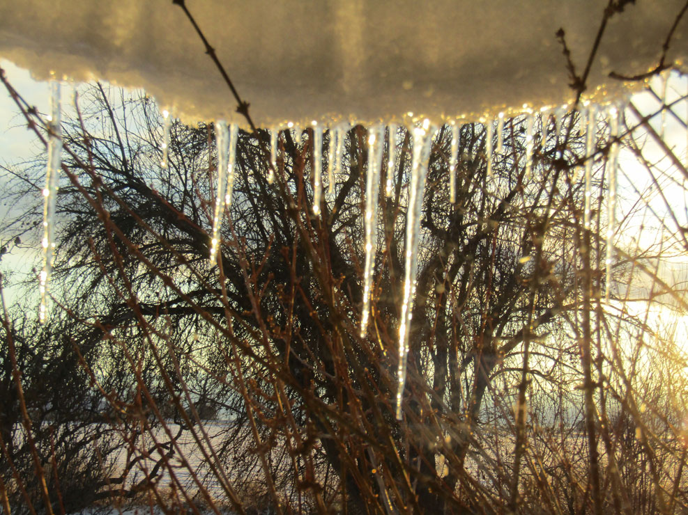 Life on a Colorado Farm