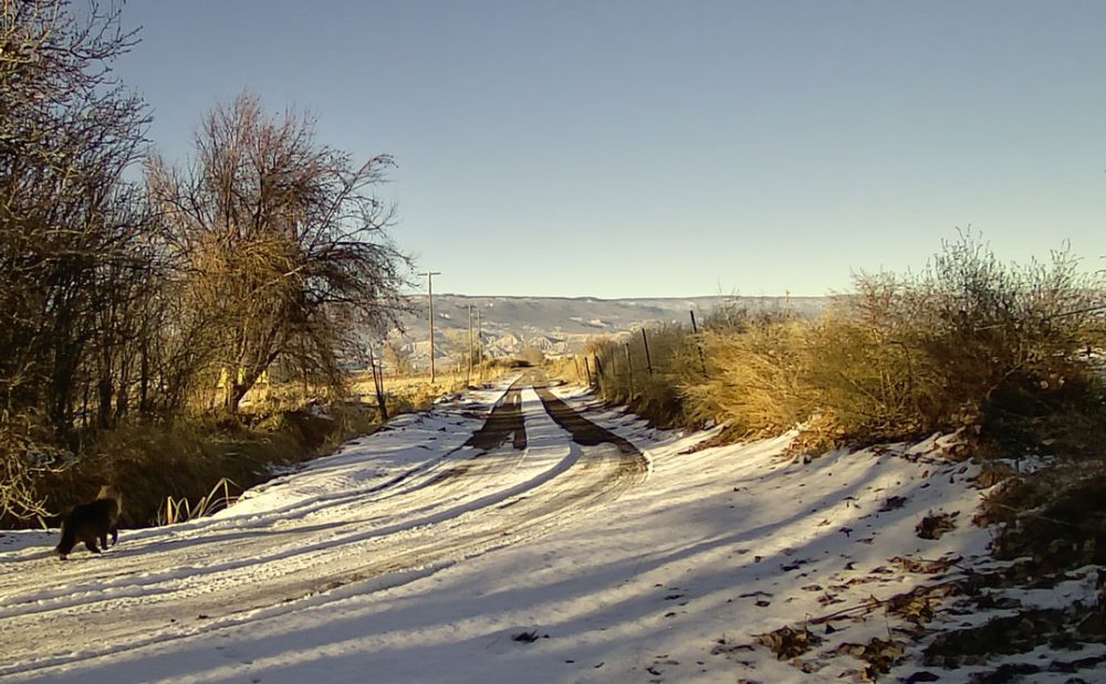 Life on a Colorado Farm
