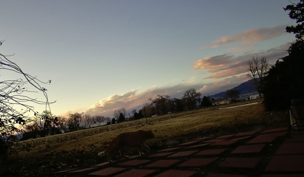 Life on a Colorado Farm