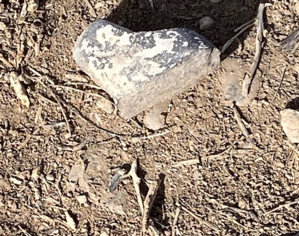 Life on a Colorado Farm