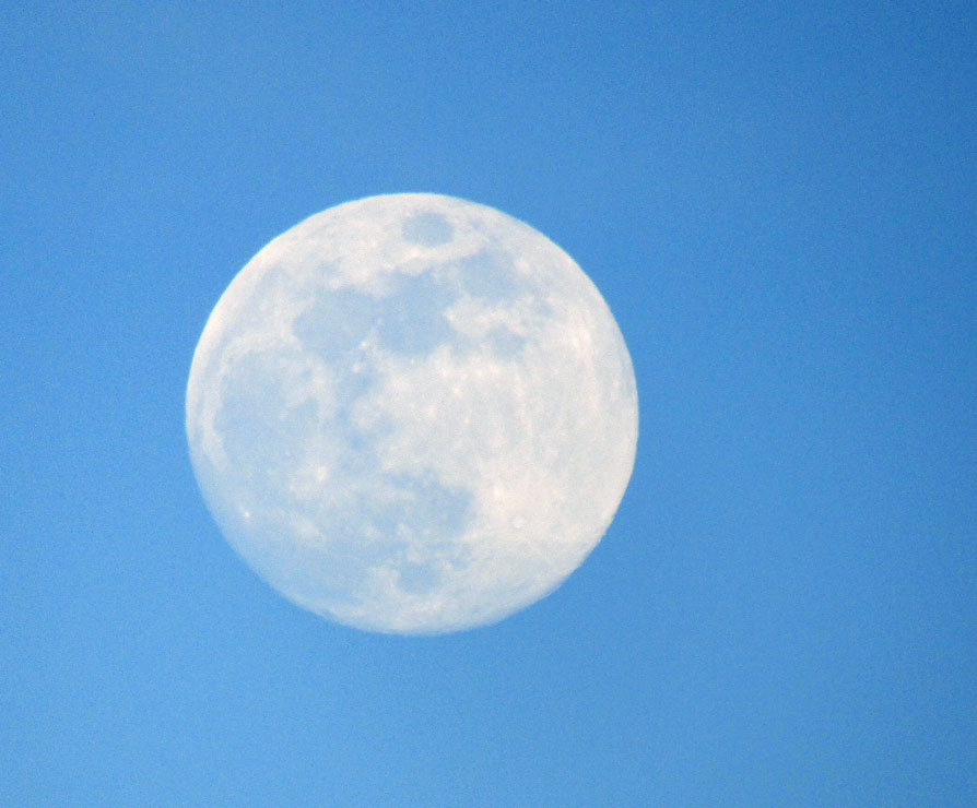 Life on a Colorado Farm
