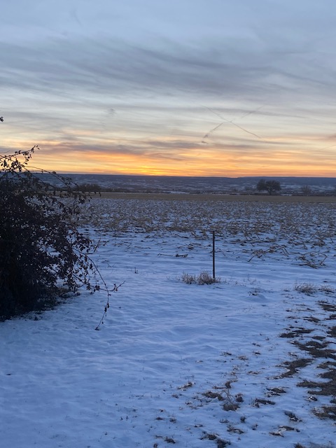Life on a Colorado Farm