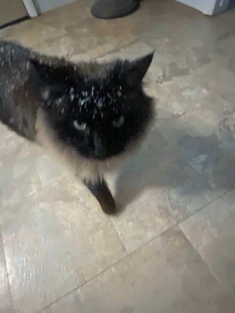 Life on a Colorado Farm