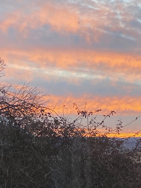 Life on a Colorado Farm