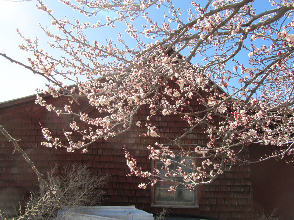 Life on a Colorado Farm