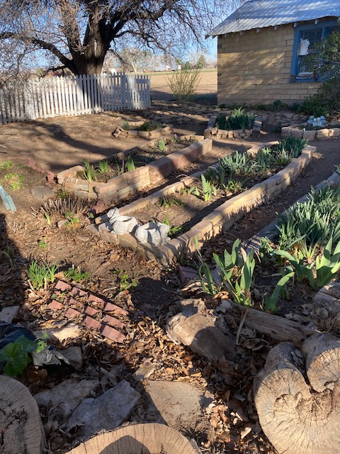 Life on a Colorado Farm