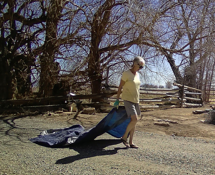 Life on a Colorado Farm