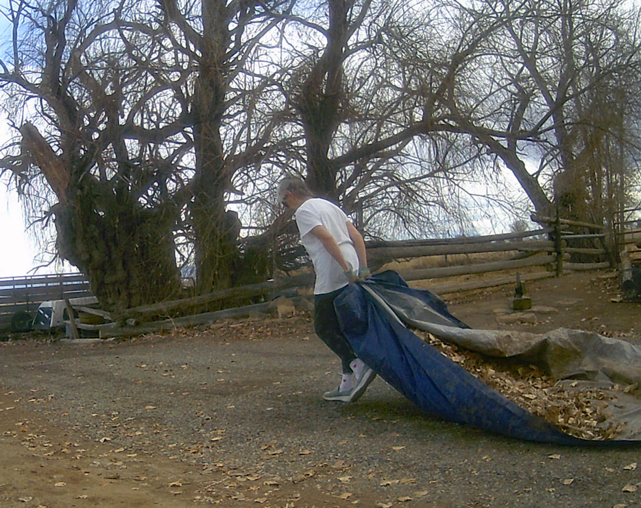 Life on a Colorado Farm