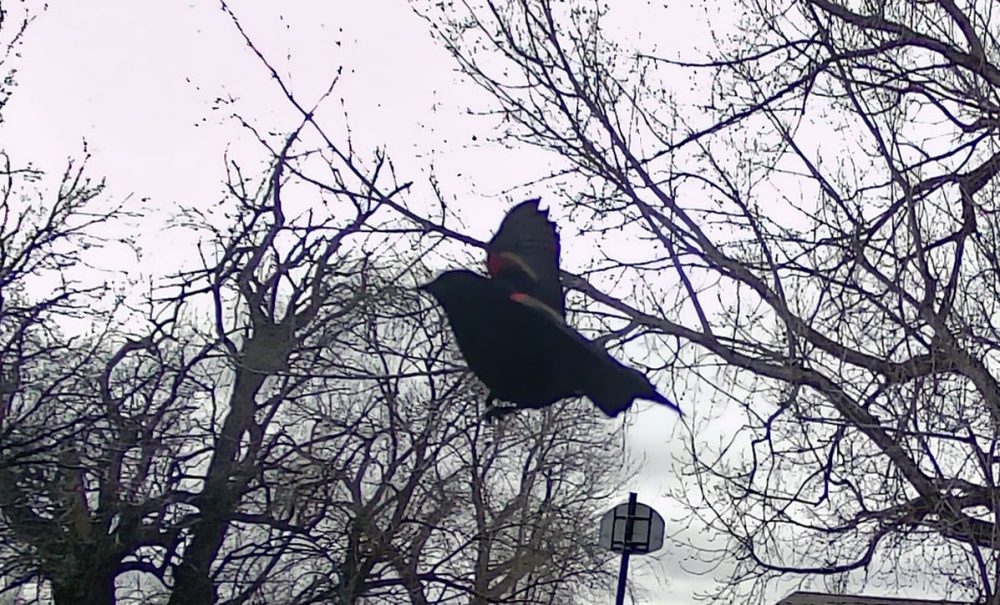 Life on a Colorado Farm