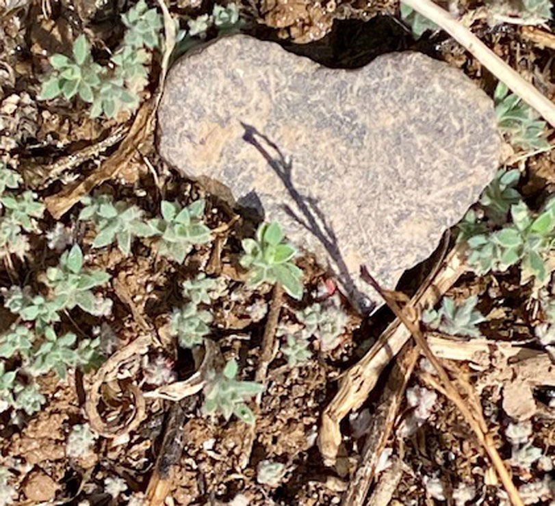 Life on a Colorado Farm