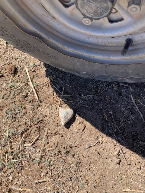 Life on a Colorado Farm
