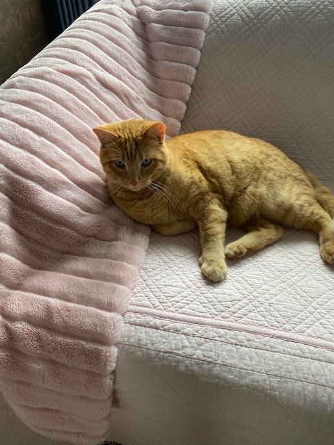 Life on a Colorado Farm