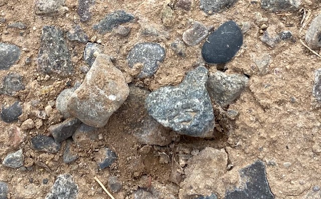 Life on a Colorado Farm