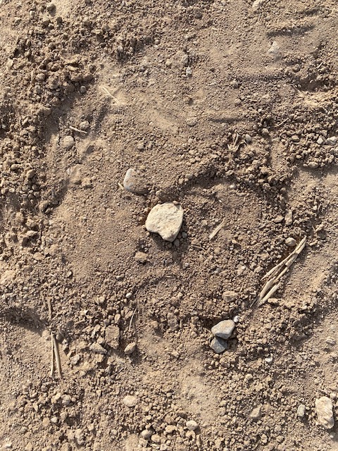 Life on a Colorado Farm